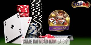 Game bài ngầu hầm top88 là gì?